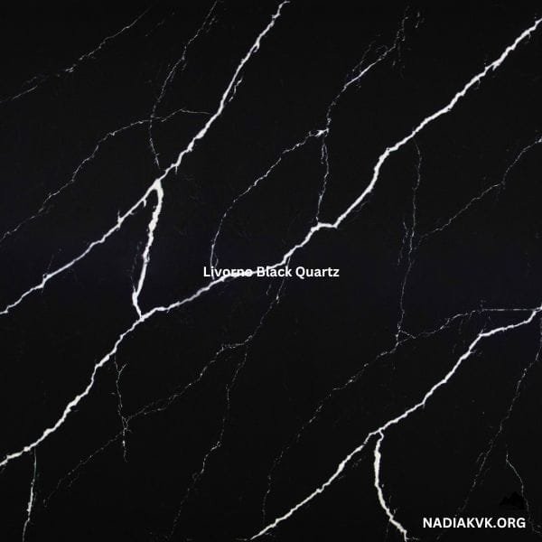 Black Quartz Countertops