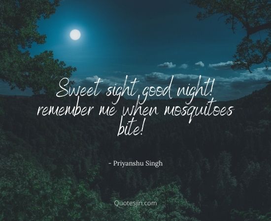 Good Night Quotes