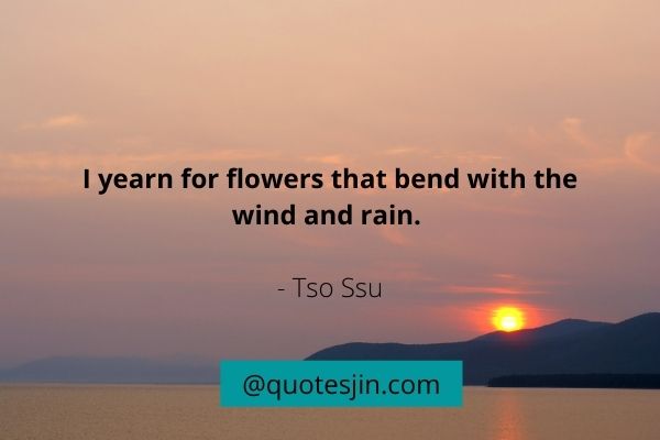 Rain Quotes