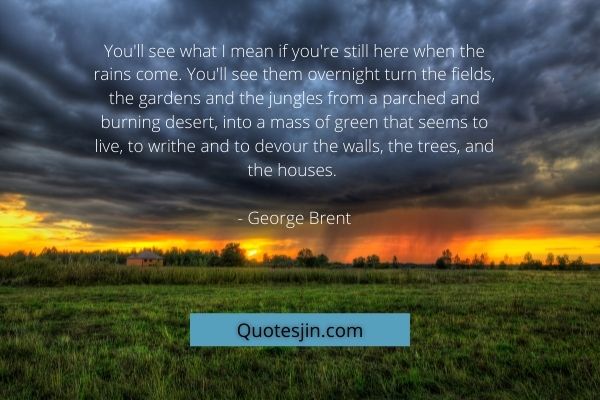rain quotes