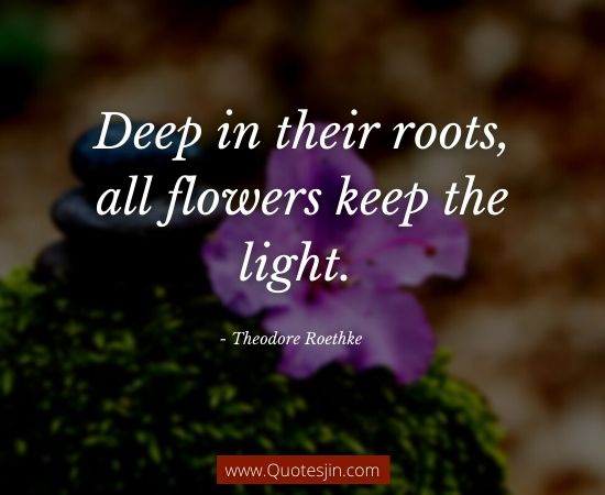 Deep Quotes