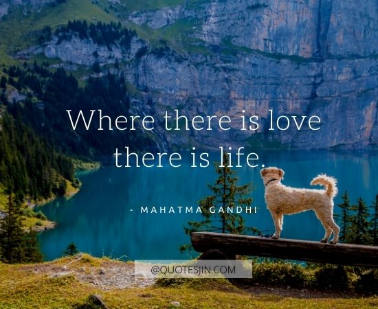 Life Quotes
