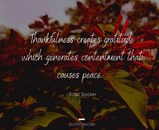thank you quotes
