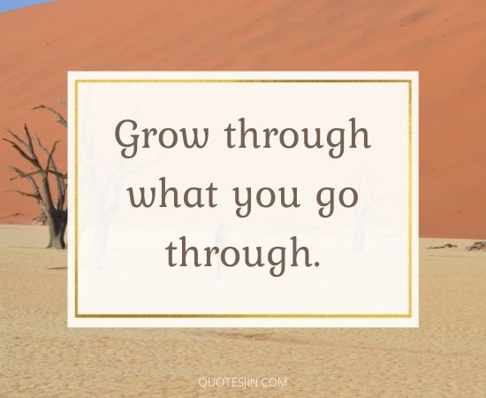 Happiness Quotes