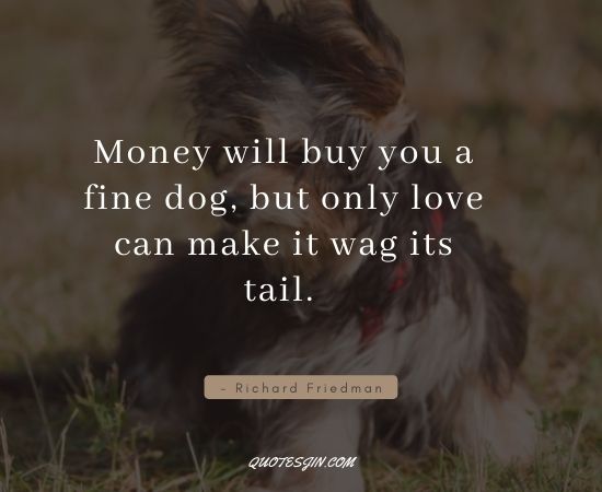 Money Quotes