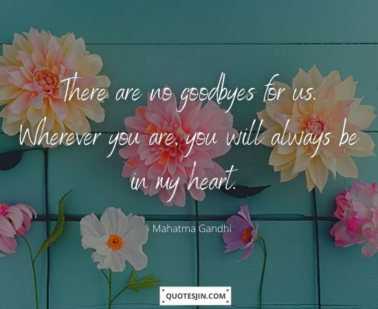 Sympathy Quotes