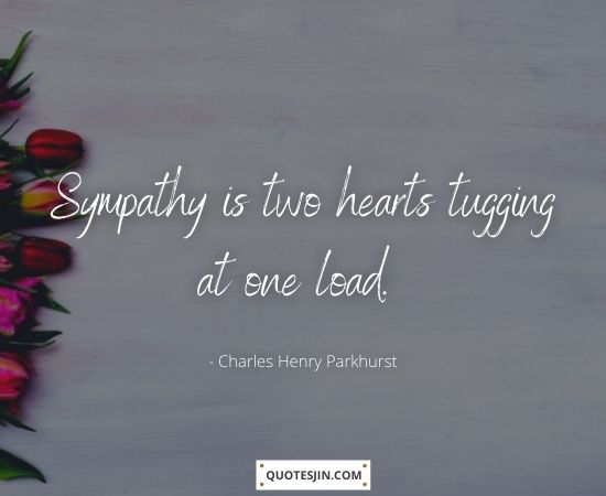 Sympathy Quotes