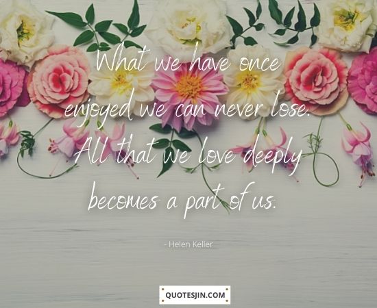 Sympathy Quotes