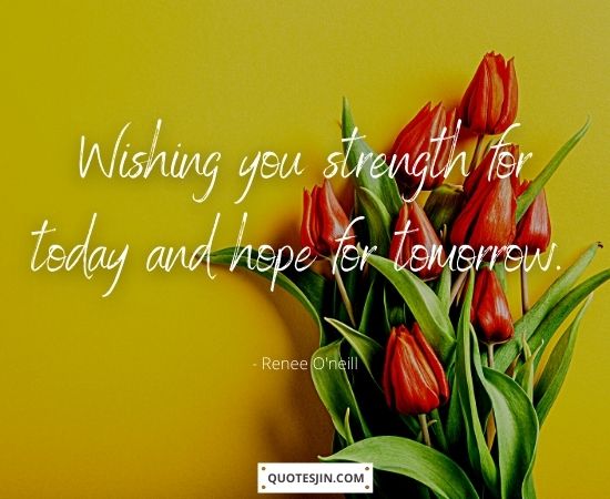 Sympathy Quotes