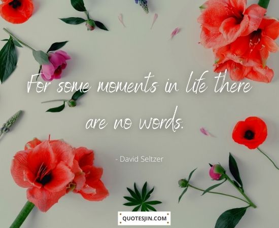 Sympathy Quotes