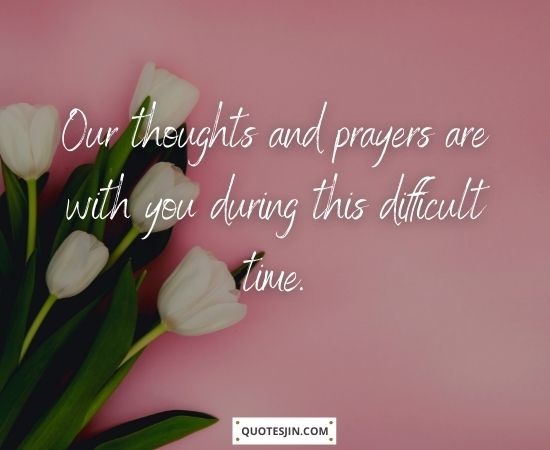 Sympathy Quotes