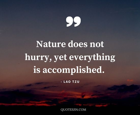 Patience Quotes