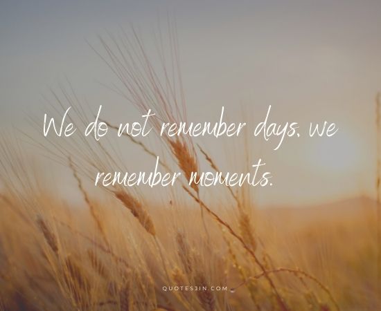 life quotes