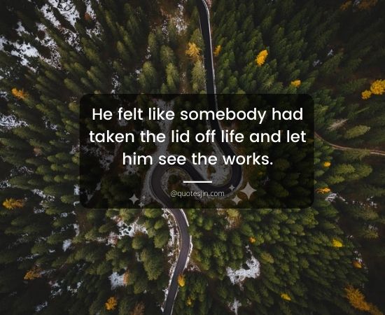 Lid Quotes