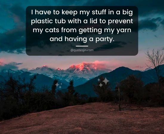 Lid Quotes