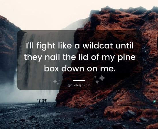 Lid Quotes