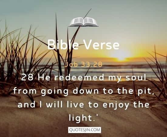 Bible Verses About Light