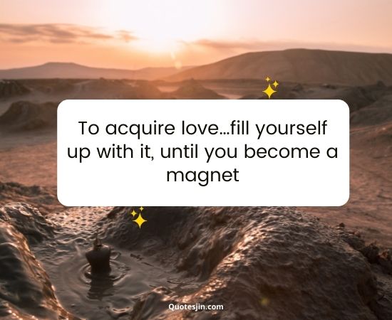 Law Of Attraction Quotes