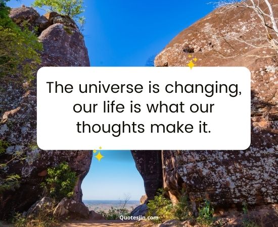 Law Of Attraction Quotes