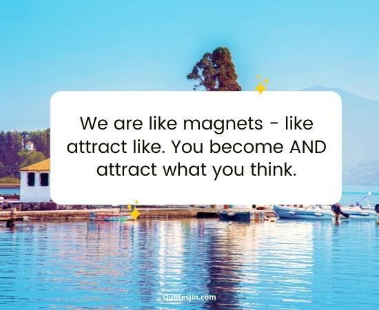 Law Of Attraction Quotes