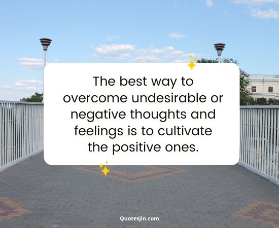 Law Of Attraction Quotes