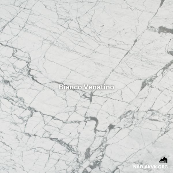 Bianco Venatino marble
