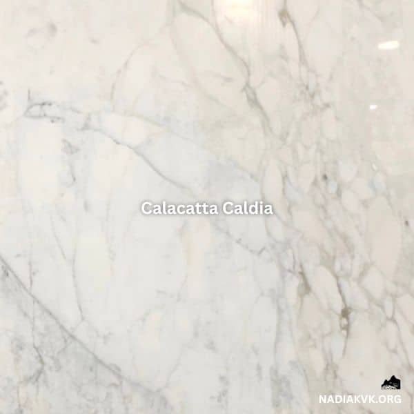 Calacatta Caldia marble