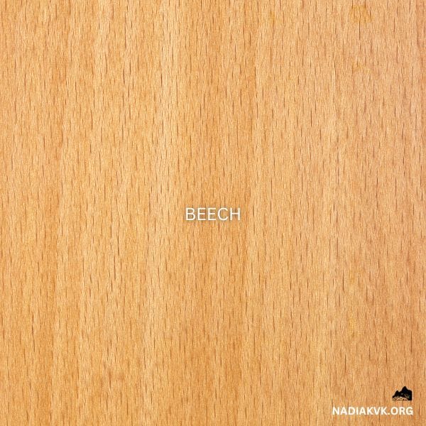 Best Woods for a Cutting Board - beech wood