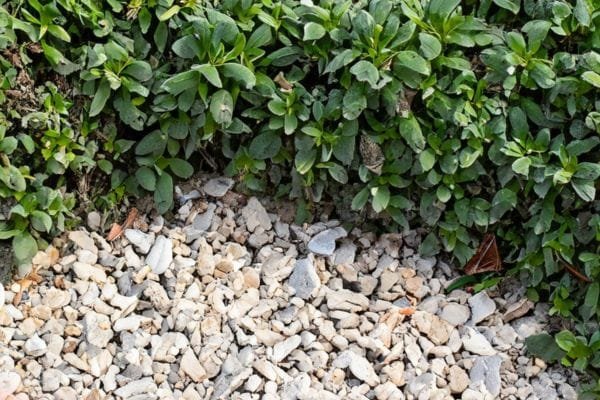 crush and run gravel