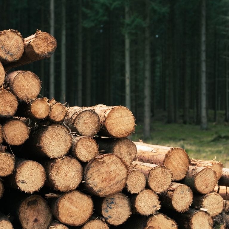 wood wall